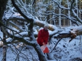 DSC01475.jpg