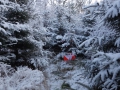 DSC01478.jpg