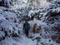 DSC01484.jpg